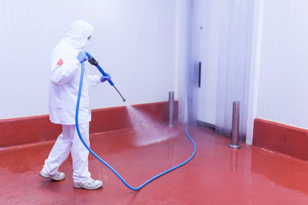 Reliable Ten Mile Creek, MD Pressure Washing Services Solutions